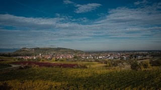 Blick über Gemeinde Sasbach