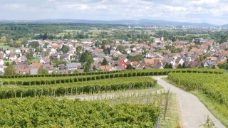 Gemeinde Schallstadt Blick auf die Gemeinde Schallstadt vom Batzenberg