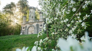 Wasserschloessle im Fruehling Wasserschloessle im Fruehling