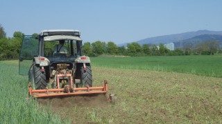 Ein Landwirt pflügt auf dem Feld Wintergrün unter.