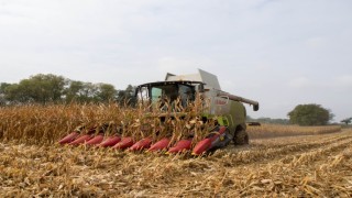 Rechenmodell zur Stickstoffprognose bei Mais