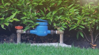 Gartenwasserzähler Gartenwasserzähler unter einer Hecke