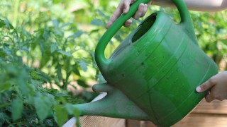 Gießkanne zur Gartenbewässerung Bewässern eines Hochbeetes mit der Gießkanne